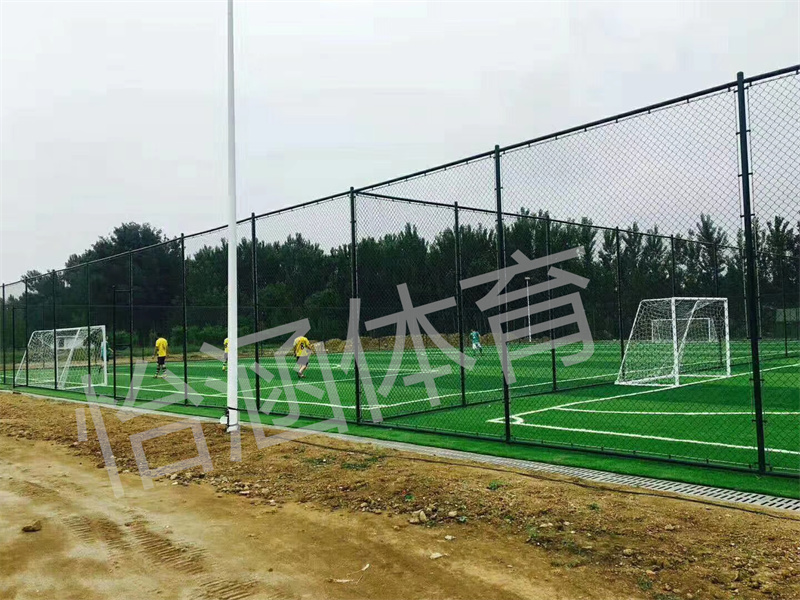 上海塑胶球场工程案例